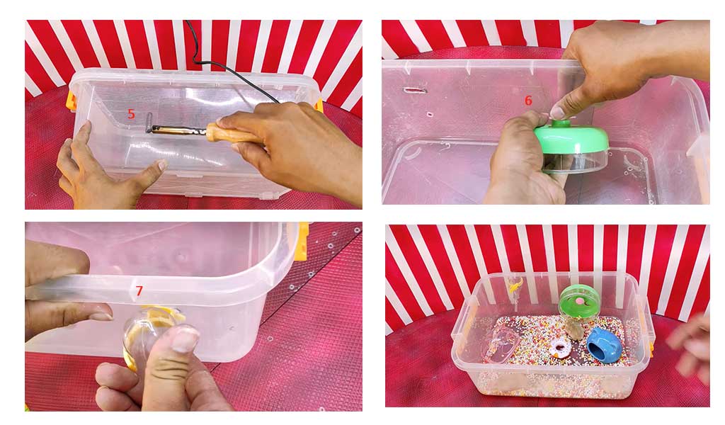Hướng dẫn nuôi hamster trong thùng nhựa